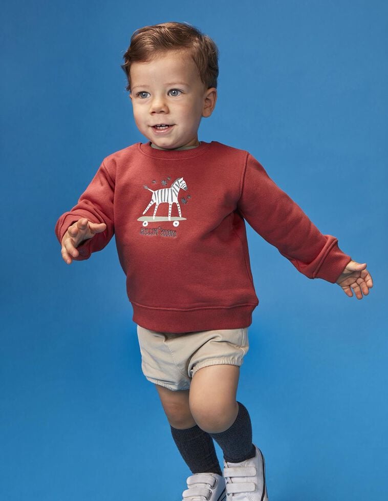 Sweatshirt com estampa de zebra granada